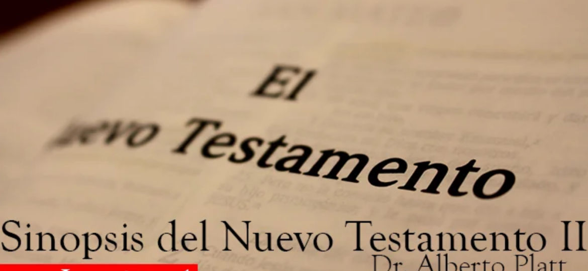 Nuevo Testamento 2